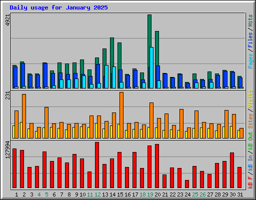 Daily usage for January 2025