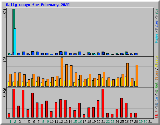 Daily usage for February 2025