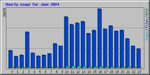 Hourly usage for June 2024