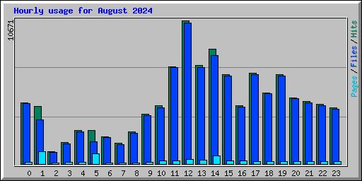 Hourly usage for August 2024