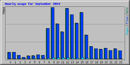 Hourly usage for September 2024