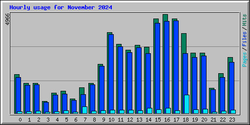 Hourly usage for November 2024