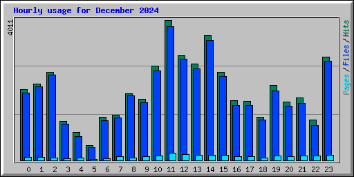 Hourly usage for December 2024