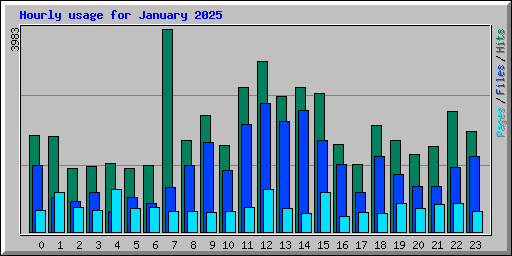 Hourly usage for January 2025