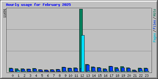 Hourly usage for February 2025